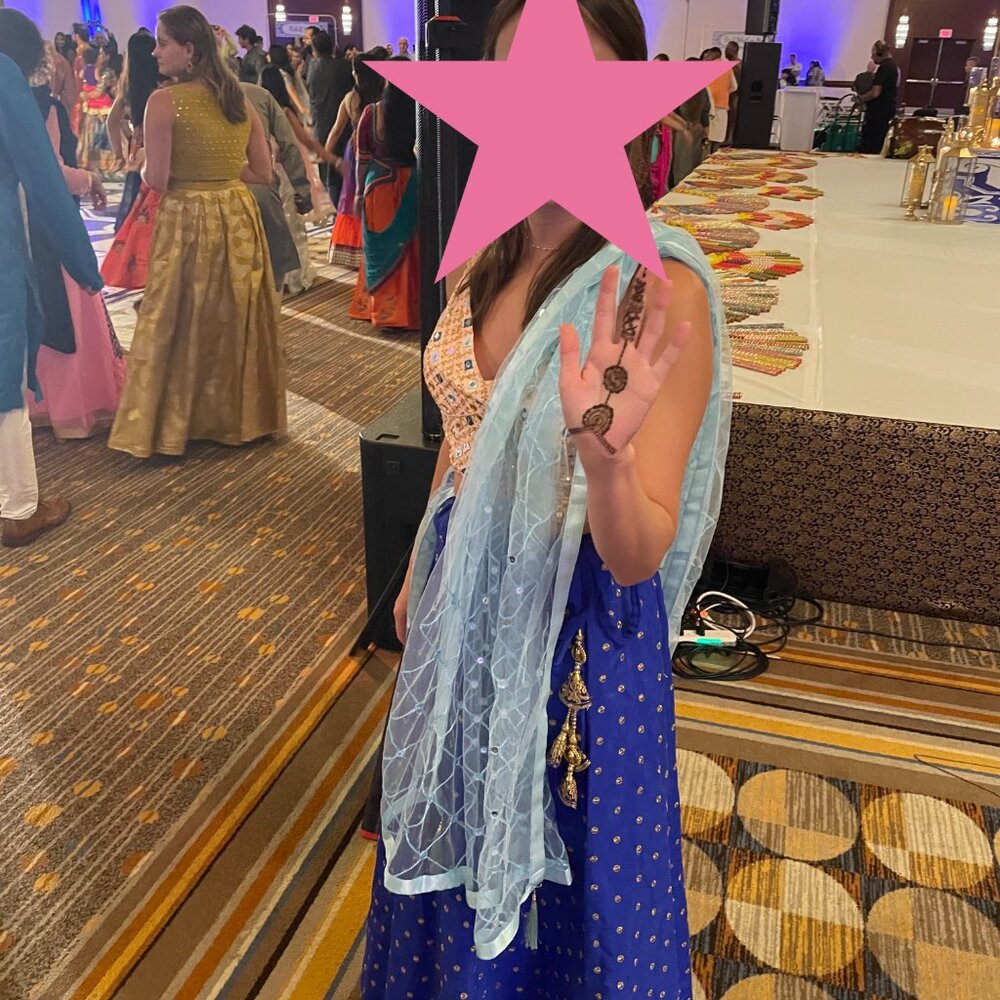 Lehenga Skirt - Picture 3 of 3